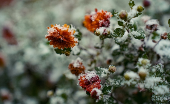 Аромат как теплый шарф: главные ноты осеннего парфюма – как сделать духи частью настроения